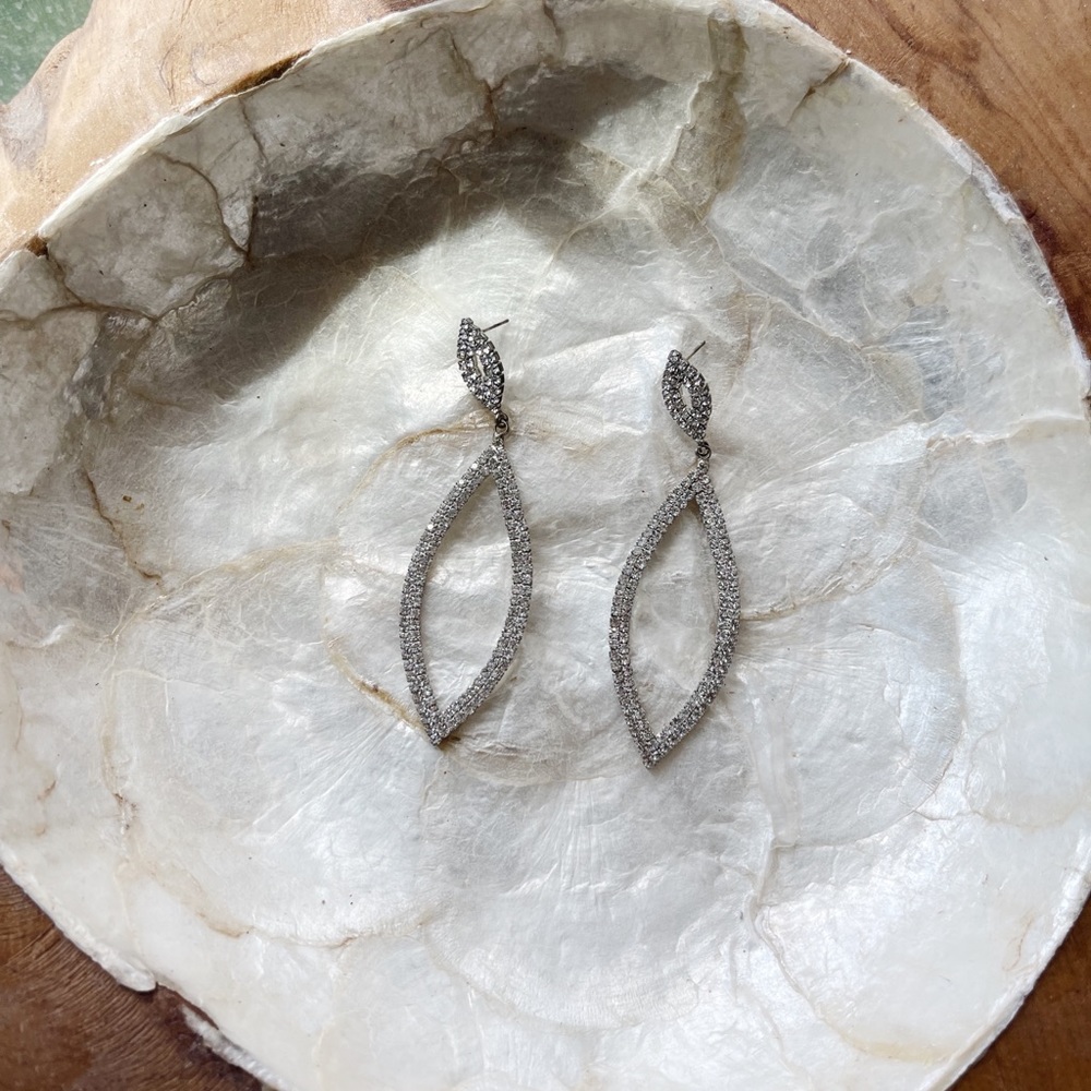 Stunning Silver Jewel Earrings